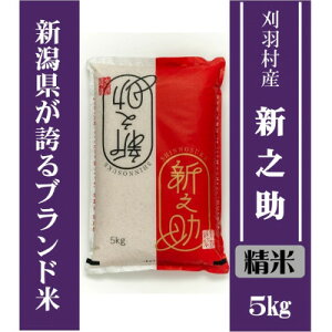 yӂ邳Ɣ[ŁzyVuhāzyāzHYVV 5kgy1576232z