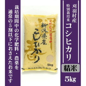 【ふるさと納税】【新潟特別栽培米】【精米】刈羽村産コシヒカリ 5kg _ 新潟 刈羽村 コシヒカリ 精米 人気 美味しい お米 【1576269】