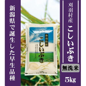 yӂ邳Ɣ[ŁzyVizyāzHYԂ 5kgy1576274z