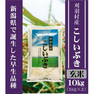 【ふるさと納税】【新潟県早生品種】【玄米】刈羽村産こしいぶき 10kg(5kg×2袋)【1576279】