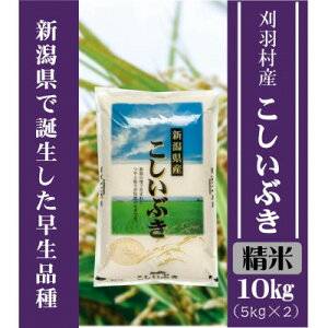 yӂ邳Ɣ[ŁzyVizyāzHYԂ 10kg(5kg×2)y1576319z