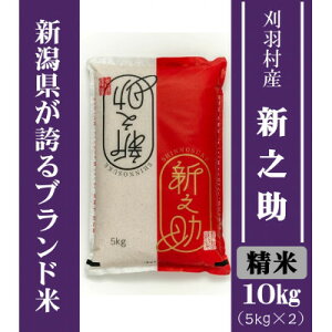 yӂ邳Ɣ[ŁzyVuhāzyāzHYVV 10kg(5kg×2)y1576333z