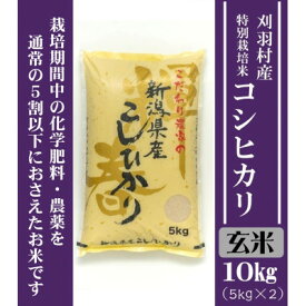 【ふるさと納税】【新潟特別栽培米】【玄米】刈羽村産コシヒカリ 10kg(5kg×2袋) _ 新潟 刈羽村 コシヒカリ 玄米 お米 人気 美味しい 【1576364】