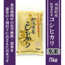 【ふるさと納税】【新潟特別栽培米】【玄米】刈羽村産コシヒカリ 5kg _ 新潟 刈羽村 コシヒカリ 玄米 人気 美味しい お米 【1576367】