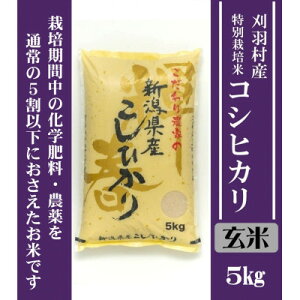 【ふるさと納税】【新潟特別栽培米】【玄米】刈羽村産コシヒカリ 5kg【1576367】
