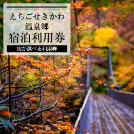 【ふるさと納税】選ばれる温泉体験 30,000円分の温泉宿泊利用券_ 温泉 宿泊券 体験ギフト 癒し リラックス 人気 おすすめ プレゼント ギフト 【1278601】