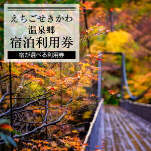 yӂ邳Ɣ[ŁzI΂鉷̌ 30,000~̉hpy1278601z