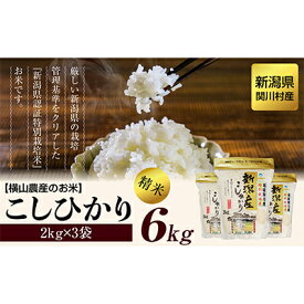 【ふるさと納税】R7年産 関川村産こしひかり 精米6kg(2kg×3袋) ふっくら美味しさ 岩船米 [横山農産]【1347088】