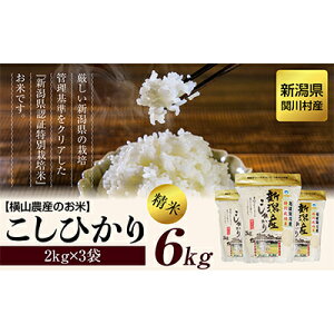 yӂ邳Ɣ[Łz[s\] R7NY ֐쑺YЂ6kg ӂ D [R_Y]y1347088z