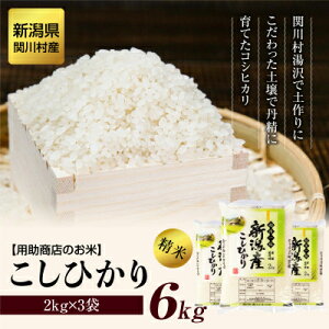 yӂ邳Ɣ[Łz[s\] R7NY y肩炱DYRVqJ 6kg(2kg×3)[pX]_   R    Ђ  Y V Yn uh 