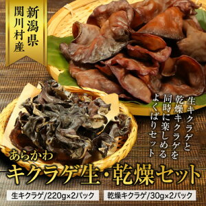 yӂ邳Ɣ[Łz炩LNQEZbg(LNQ220g×2pbNELNQ30g×2pbN)yzsnFzy1442531z