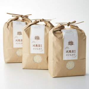 yӂ邳Ɣ[Łz[s\] R7NY ZȊÂ!DYRVqJ6kg(2kg×3)[_Ɩh]y1584913z
