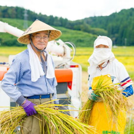 【ふるさと納税】R7年産 関川村産こしひかり 精米5kg ふっくら美味しさ 岩船米 [横山農産]_ 白米 国産米 高品質 ごはん 美味しい 人気 おすすめ 送料無料 【1638512】