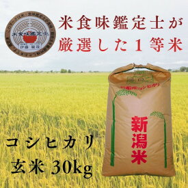 【ふるさと納税】R7年産 新潟県岩船産 コシヒカリ玄米30kg　米食味鑑定士が厳選吟味した1等米 [青南総合農園]【1693748】