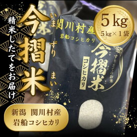 【ふるさと納税】R7年産 関川村産 岩船コシヒカリ 今摺米 5kg(精米5kg×1袋)[JA北新潟]【1701348】