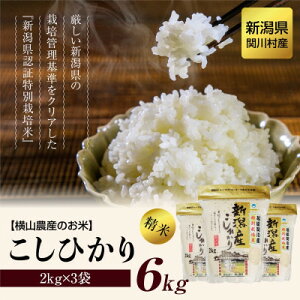 yӂ邳Ɣ[Łzyցz֐쑺YЂ6kg(2kg×3)ӂ D [R_Y]S12y4073979z