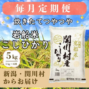 yӂ邳Ɣ[ŁzyցzĂ V֐쑺Y DĂЂ@ 5kg [RēX]S6y4076217z