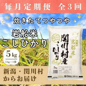 yӂ邳Ɣ[ŁzyցzĂ V֐쑺Y DĂЂ萸 5kg [RēX]S3y4079623z