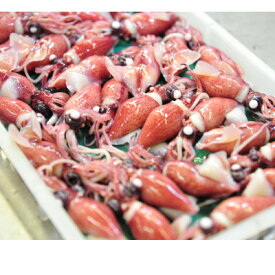 【ふるさと納税】富山湾産ボイルほたるいか　230g×2(からし酢みそ付き)【配送不可地域：離島・北海道・沖縄県・東北・中国・四国・九州】【1599127】