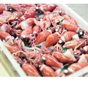 yӂ邳Ɣ[ŁzxRpY{Cق邢@230g×2(炵|݂t)yzsnFEkCEꌧEkEElEBzy1599127z