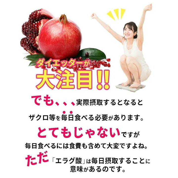楽天市場】【ふるさと納税】エラグ酸 サプリ 大容量約半年分エラグ酸 