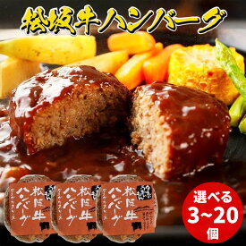【ふるさと納税】松阪牛ハンバーグ　デミグラスソース　選べるセット（3個～20個） | セット 大容量 ビーフ ポーク 湯煎 和牛 肉 お肉 にく 和牛 高級牛肉 国産牛 お中元 お歳暮 贈答用 お取り寄せグルメ 贅沢 特製ソース 時短 レトルト お惣菜