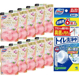 【ふるさと納税】液体ブルーレットプレミアムパフューム　付け替用10個＆トイレ洗浄中(6錠)×1　詰め替え 詰替え 付け替え 付替え | 雑貨 日用品 トイレ クリーナー 洗剤