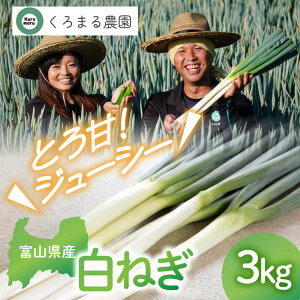 �y�ӂ邳�Ɣ[�Łz����܂�_���@�x�R�̔��l�M�i�D�t���j3�L�� | �x�R�s ��� ���l�M �l�M ����܂�_�� �������� �l�C �������� ��������