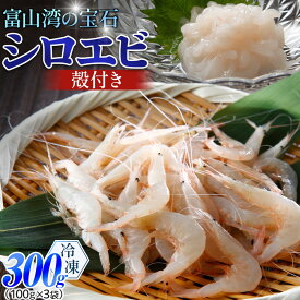【ふるさと納税】富山湾のシロエビ（殻付き）300g | 冷凍 エビ えび 海老 白エビ お刺身 冷凍食品 ふるさと納税 富山 漁業協同組合 水産 魚介類 食品 新鮮 海鮮 シーフード 人気 おすすめ 送料無料