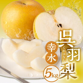 【ふるさと納税】【先行予約・2026年8月25日～9月10日に発送】呉羽梨（くれはなし）5kg箱 | 甘い 梨 みずみずしい シャキシャキ 旬 果物 フルーツ 高級 贈答用 お取り寄せ 産地直送 ブランド梨 秋の味覚 旬の果物 季節限定 甘くて美味しい 人気 おすすめ 送料無料