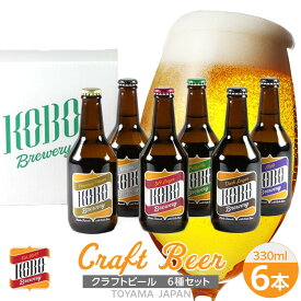 【ふるさと納税】クラフトビール 6種セット（計6本） | 飲み比べセット フルーティー 飲み比べ おうち時間 限定ビール お歳暮 父の日 母の日 プレゼント 贅沢 宅飲み 家飲み クラフトビールセット ビール好き 20代 30代 40代 50代 人気 おすすめ 送料無料