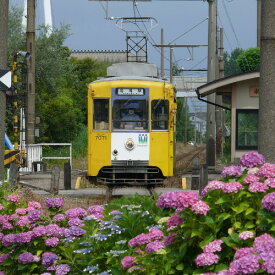 【ふるさと納税】万葉線7000形電車貸切（高岡駅～越ノ潟駅区間内 片道）　【チケット 体験チケット 乗車券 鉄道乗車券】