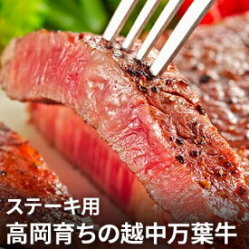 【ふるさと納税】高岡育ちの越中万葉牛 ステーキ用200g～250g×2枚 サーロイン 肉 牛肉 ステーキ 国産 富山　【牛肉 お肉 ステーキ用 サーロインステーキ】