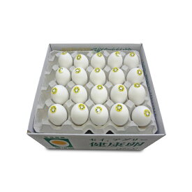 【ふるさと納税】セイアグリー健康卵 40個入り たまご 玉子 鶏卵 セット　【卵 鶏卵 たまご】