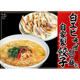 【ふるさと納税】「富山の宝石」白エビ味噌担々麺2食＋自家製餃子（25コ入）　【 惣菜 冷凍総菜 麺類 おかず 夕飯 晩御飯 昼食 お昼ごはん ランチ 夜食 手作り餃子 点心 中華 惣菜セット 】