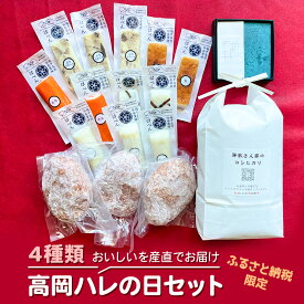 【ふるさと納税】高岡ハレの日お祭りセット お肉 ハンバーグ お米 コシヒカリ 練り物
