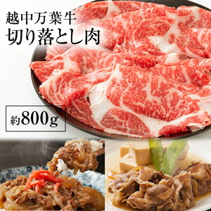 yӂ邳Ɣ[Łzzt؂藎Ƃ800g  Ă {[ Ⓚ /VTі{X/xRs