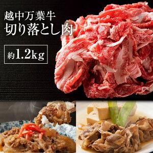 yӂ邳Ɣ[Łzzt؂藎Ƃ1.2Kg   Ă {[ Ⓚ /VTі{X/xRs