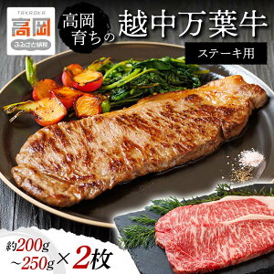 yӂ邳Ɣ[Łz炿̉zt Xe[Lp200g`250g×2 T[C   Xe[L Y xR  T[CXe[L FAD-0076