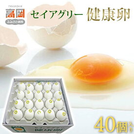 【ふるさと納税】セイアグリー健康卵 40個入り たまご 玉子 鶏卵 セット FAD-0080