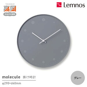 yӂ邳Ɣ[Łzmolecule / O[iNL17-02 GYj CeA  G Vv  Ǌ|v |v rO Q  X X CeAG FAD-1179