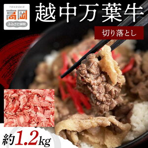 yӂ邳Ɣ[Łzzt؂藎Ƃ1.2Kg   Ă {[ Ⓚ /VTі{X/xRs FAD-1357