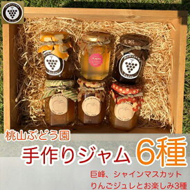 【ふるさと納税】桃山ぶどう園の手作りくだものジャム6種（巨峰、シャインマスカット、りんごジュレとお楽しみ3種）　※北海道・沖縄・離島への配送不可　※2025年9月中旬頃より順次発送予定