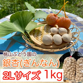 【ふるさと納税】桃山ぶどう園の『ぎんなん(殻付き)』2Lサイズ　約1kg　※北海道・沖縄・離島への配送不可　※2024年11月上旬頃より順次発送予定