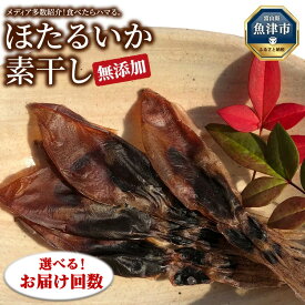 【ふるさと納税】＼選べるお届け回数／ほたるいか 素干し 160g (20g×8袋 )セット | 全国水産加工業協同組合連行会会長賞受賞 定期便 浜浦水産 おつまみ つまみ 珍味 いか イカ 干物 ひもの 魚介 魚介類 海鮮【 ホタルイカ 】 ※北海道・沖縄・離島への配送不可