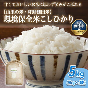 yӂ邳Ɣ[ŁzR̗N g R R̕āEؖ R7NY ۑSĂЂ 5kg@kCEEւ̔zs@2025N9{`2025N10{ɏ\