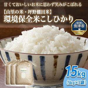yӂ邳Ɣ[ŁzR̗N g R R̕āEؖ R7NY ۑSĂЂ 15kg@kCEEւ̔zs@2025N9{`2025N10{ɏ\