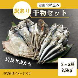 【ふるさと納税】おまかせ訳あり干物セット（3～5種） 約2.5kg 富山 魚津 浜浦水産 自家用 家庭用【魚貝類・干物セット・干物・訳あり干物】