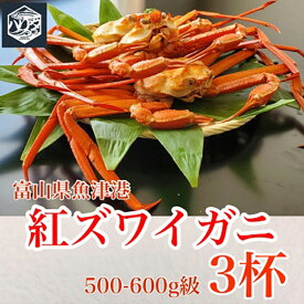 【ふるさと納税】【冷蔵・ボイル済】魚卸問屋のベニズワイガニ 500～600g 3杯 セット【三人前】｜蟹 かに カニ ずわいがに ずわい蟹 かにしゃぶ カニしゃぶ 国産 ボイル かに鍋 カニ鍋 ※2025年9月下旬～2026年5月下旬頃に順次発送予定※北海道・沖縄・離島への配送不可