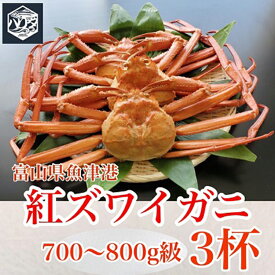 【ふるさと納税】【冷蔵・ボイル済】魚卸問屋のベニズワイガニ 700～800g級×3杯｜蟹 かに カニ ずわいがに ずわい蟹 蟹みそ かにしゃぶ カニしゃぶ 国産 ボイル かに鍋 カニ鍋 富山県産※2025年9月下旬～2026年5月下旬頃に順次発送予定※北海道・沖縄・離島への配送不可